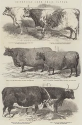 Smithfield Club Prize Kvæg